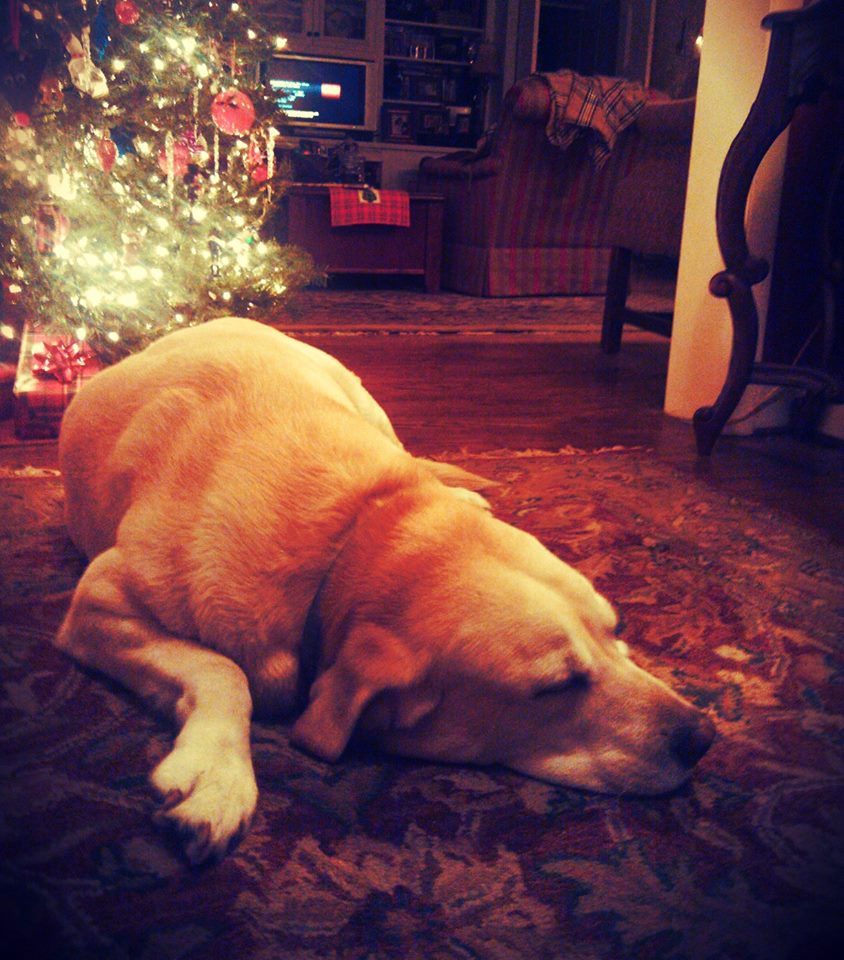 Crown Liquors, Columbia, TN