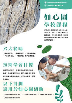 螢幕擷取畫面 2025-02-20 122424.png