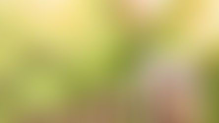 Wet herziening partneralimentatie