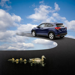 12006432_940867025999631_4122042978566831621_o