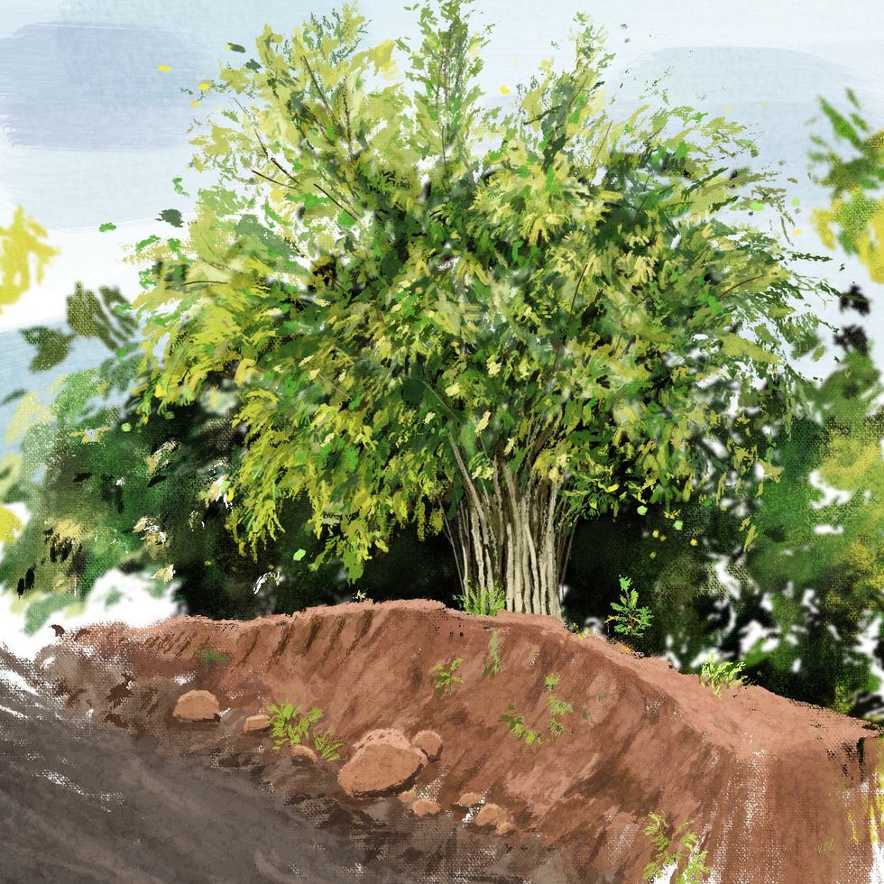 Swarna Jayanti Park, Bhopal