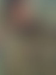 Which gun is right for the job? 