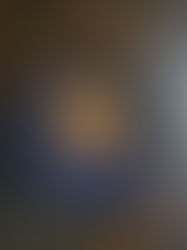 Quick Venison or Pigeon Cous Cous