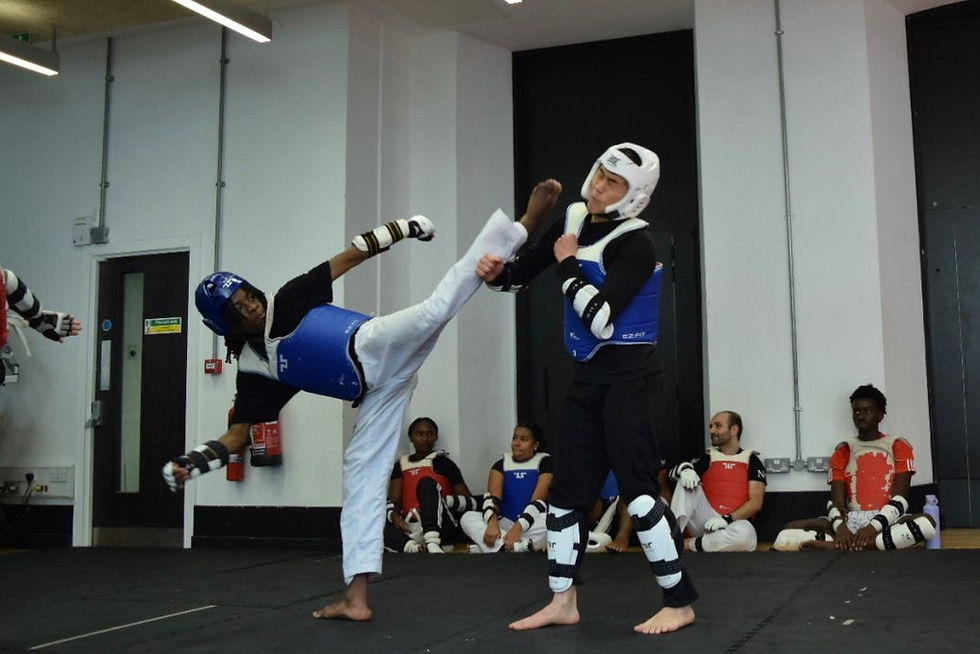 Sparring Session