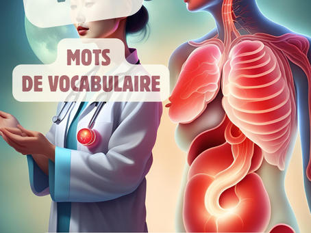Apprenez 100 mots du corps humain en français pour améliorer votre vocabulaire !