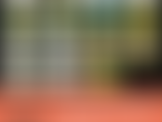 comment enseigner les articles en fle