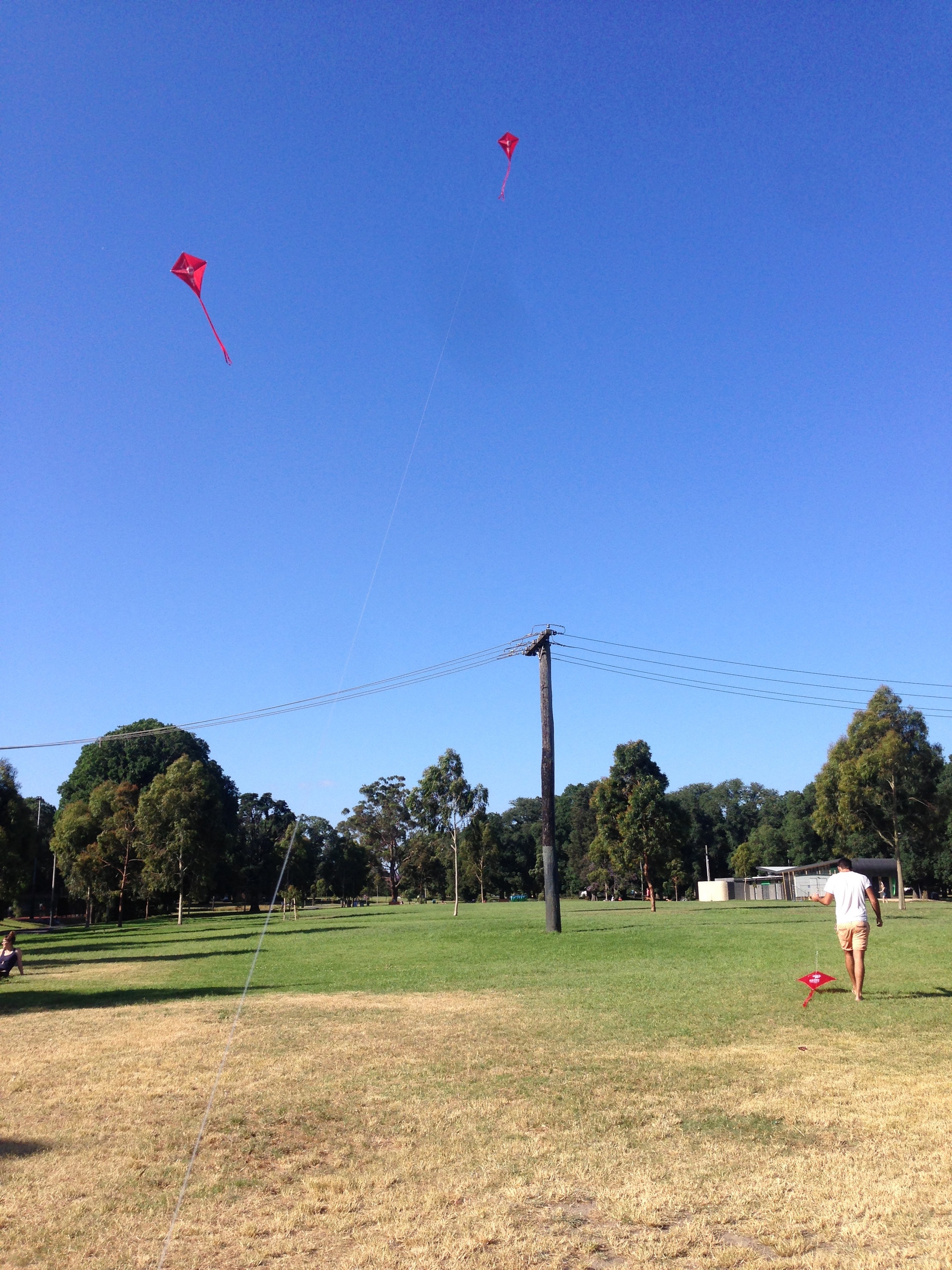 Edinburgh Gardens - Melbourne