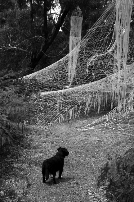 McClelland Sculpture Park, Australia