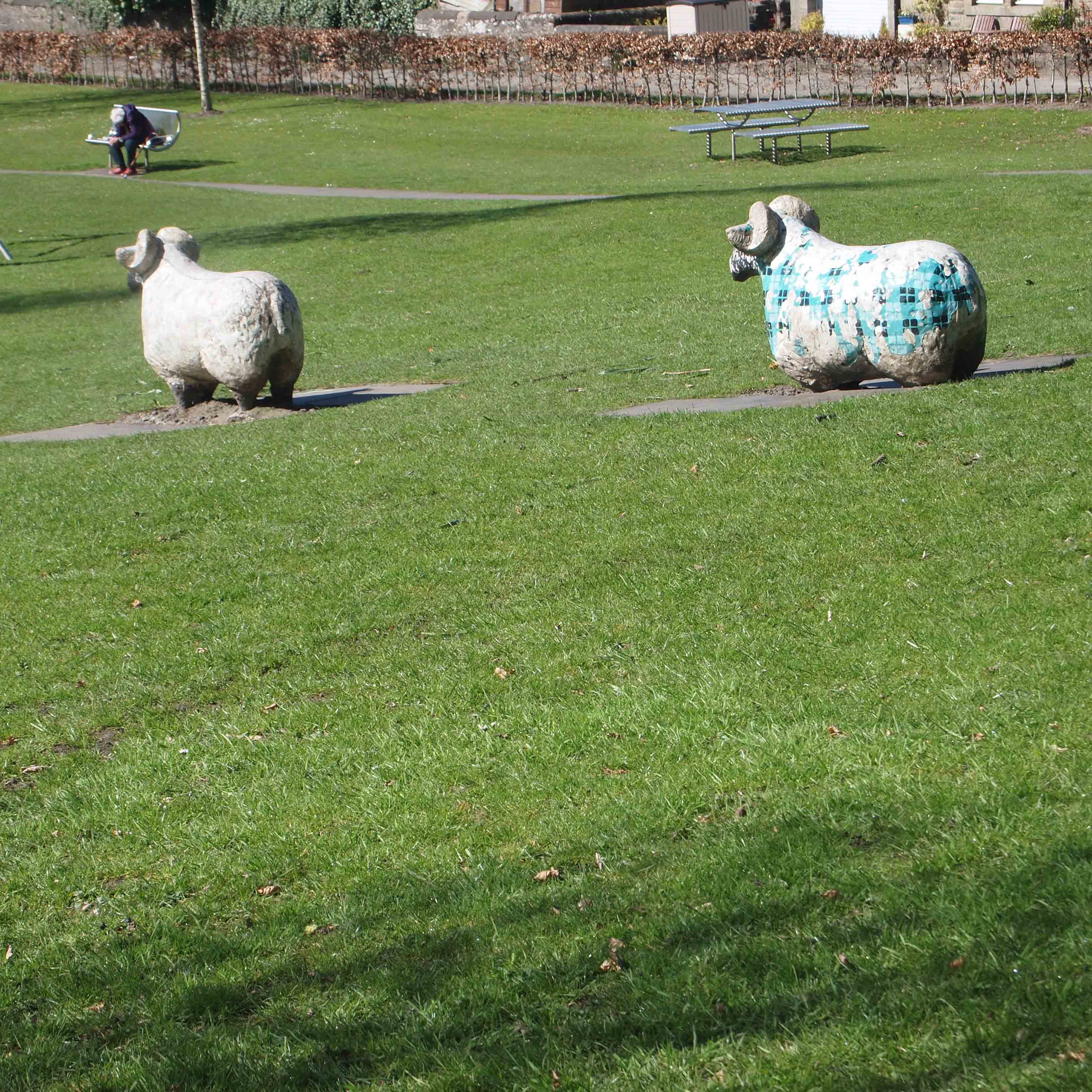 We call it the Green Sheep Park