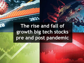 The rise and fall of growth big tech stocks pre and post pandemic