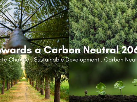 Towards a Carbon Neutral 2060