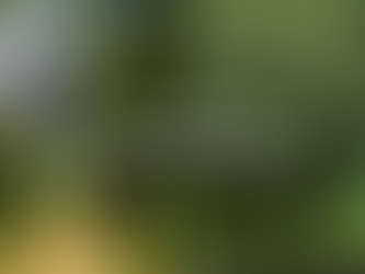 迈向碳中和 2060