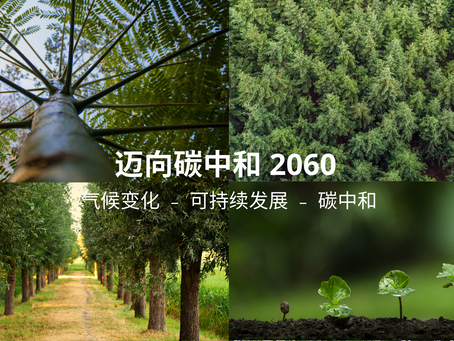 迈向碳中和 2060