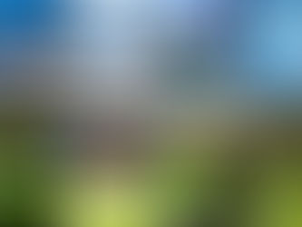 中国的绿色经济在行动,这对外国投资者意味着什么?