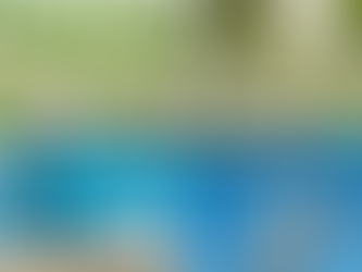 农业技术的未来