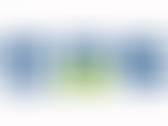 Summer Atlantic Capital 自豪地宣布与优品汽车合作成为其最新客户