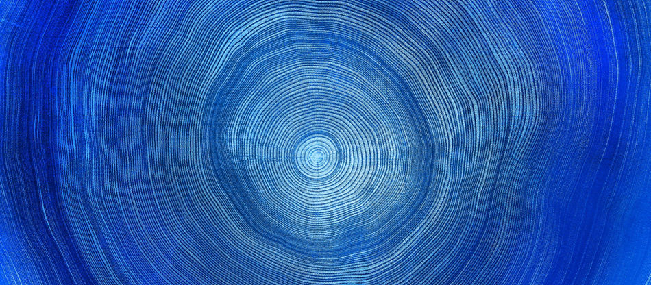 O PAPEL DA CAUD NO PROCESSO DE MELHORIA CONTINUA