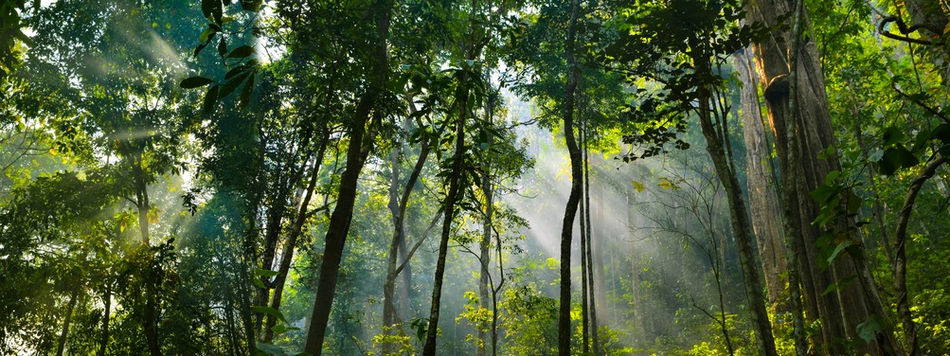 O DESAFIO DA SUSTENTABILIDADE Métricas ESG-Pilar Princípios do Governo das Sociedades