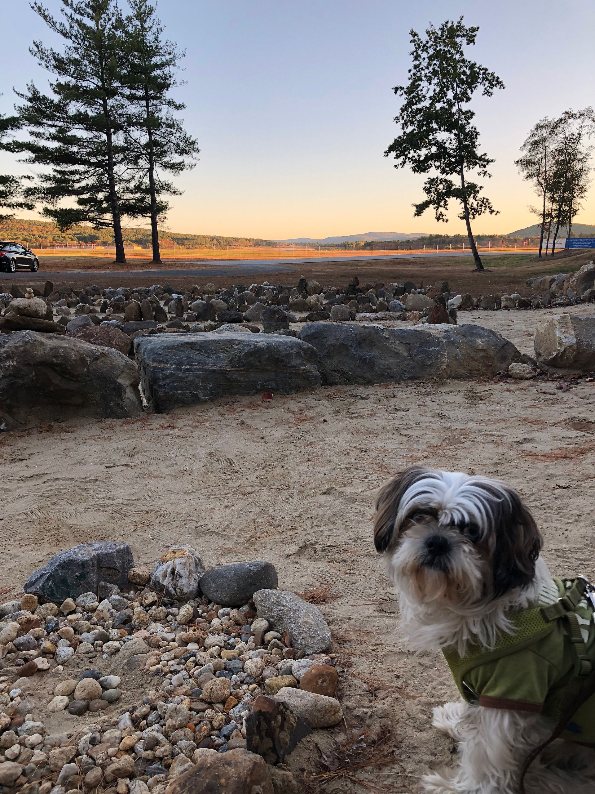 Birdi Sinclair Labyrinth Walk with Dog