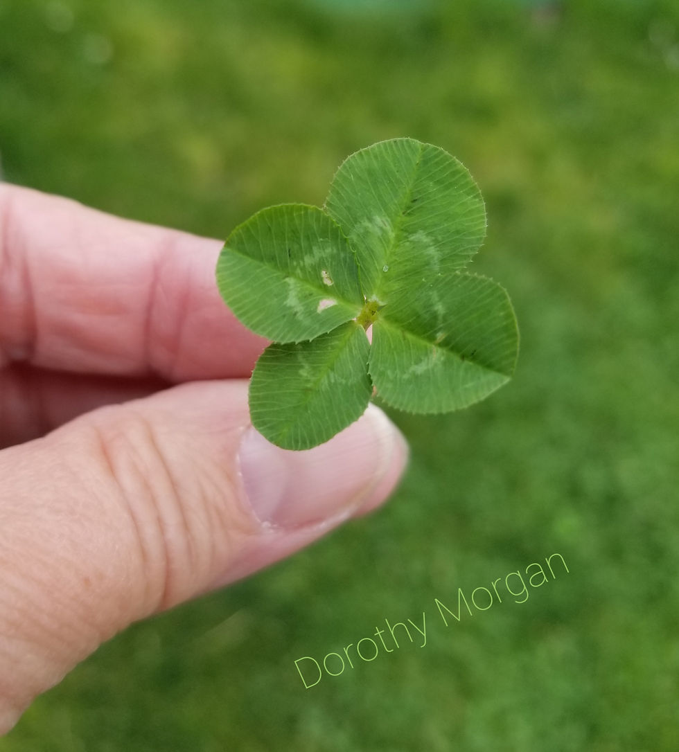 DorothyMorganAstrologer-4leafclover