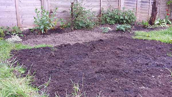 Sarah Rees Garden Blog Pic 52 lawn preparation.jpg