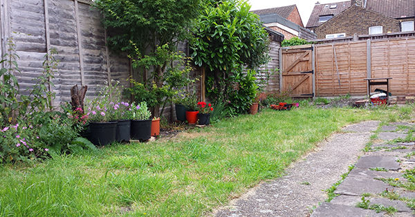 Sarah Rees Garden Blog Pic 133 wide of garden.jpg
