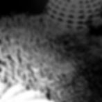 Crow's eye-view