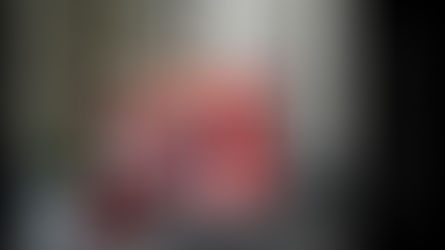 Santa at Westport House