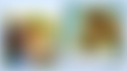 The Happiness Series with What The Readhead Said