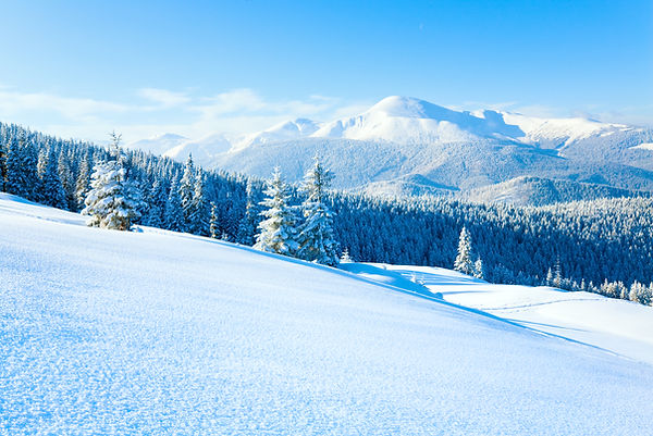 SKI-shutterstock_64880371.jpg