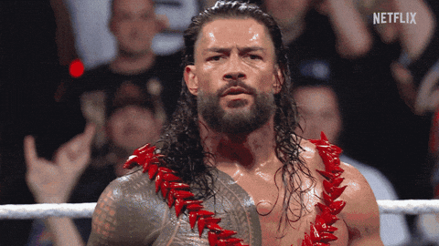 Roman Reigns Wwe GIF by NETFLIX.gif