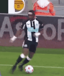 asm-allan - Copy.gif