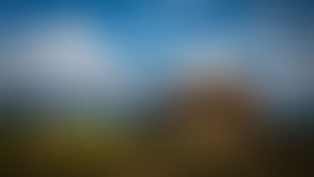 PHX Home Values + Covid 19 = WTH?