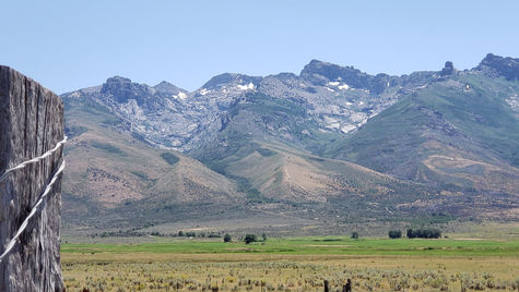 A surprise to remember 