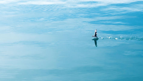 I can. I will. I must.