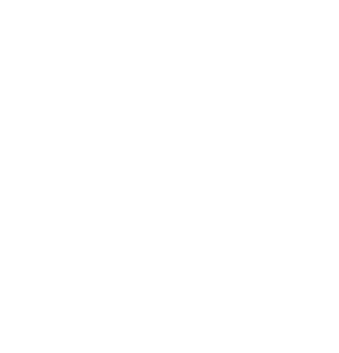 beesimz_racing_simulator_icon