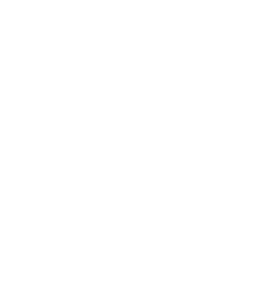 network_solutions_icon_mcbee