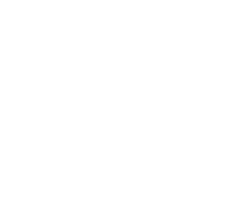 Security Systems Icon