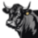 create vector art of the side profile of a all black simmental bull with no horns.png