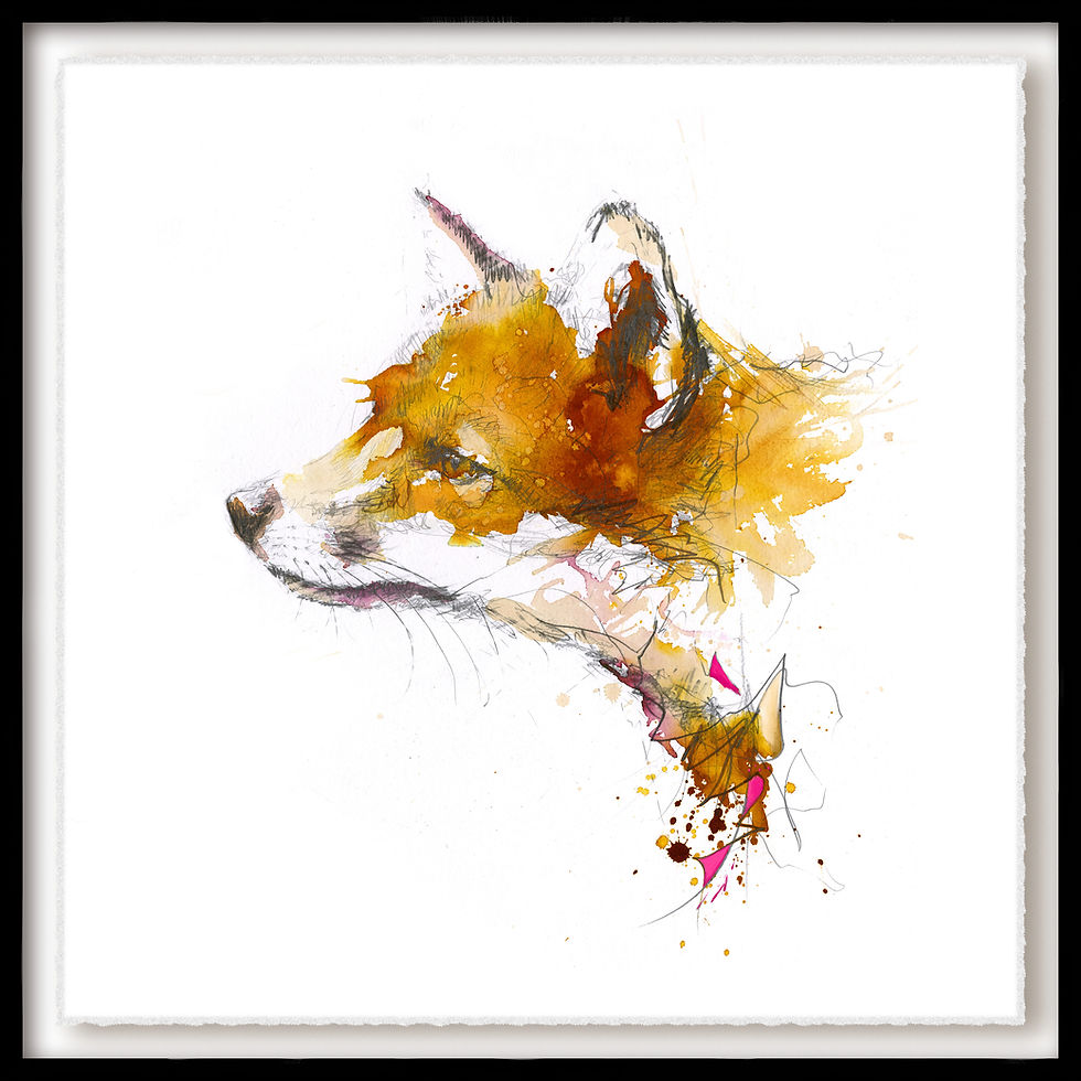 The Curious Fox (Framed)