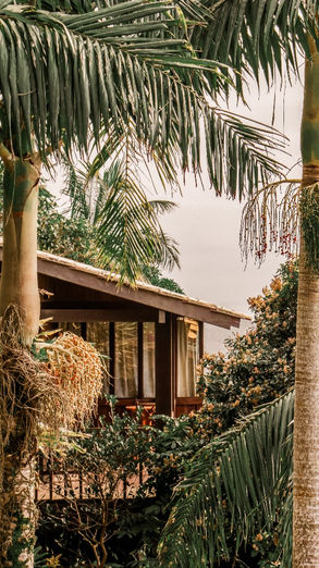 Vista externa do Chalé Master 2 imerso na natureza do terreno de mata nativa