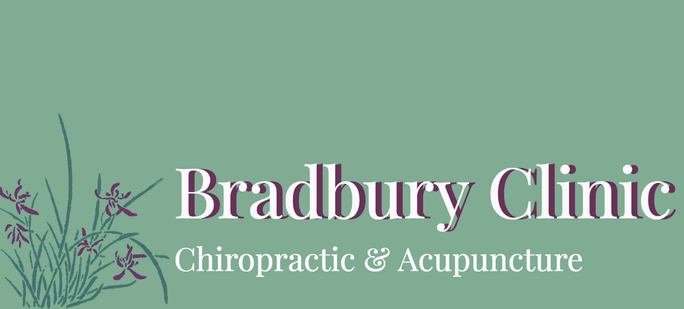 Chiropractic & acupuncture Bradbury Clinic Eastsound