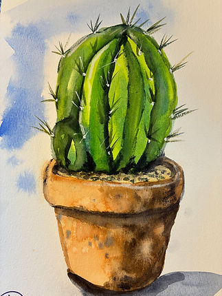 pauls cactus.jpeg