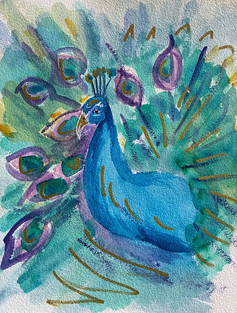 peacock.jpeg