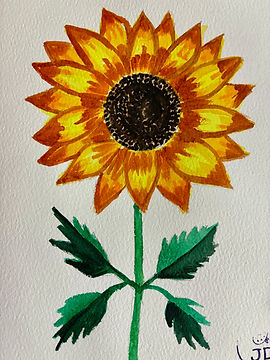 sunflower becky amelia.jpeg