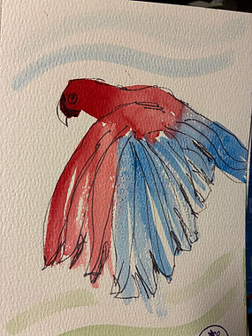parrot1.jpeg