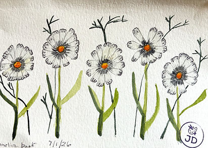 daisies_edited.jpg