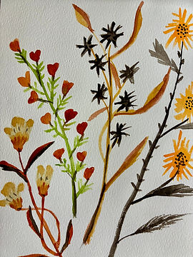 dried flowers becky amelia.jpeg