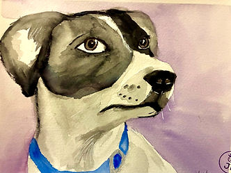 black white dog.jpg