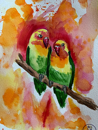 parrots_edited.jpg